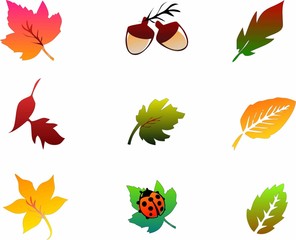 Colorful set of Autumn Leaves