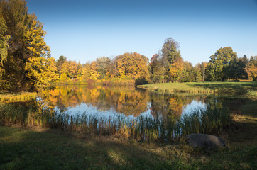 Аutumn trees round a pond