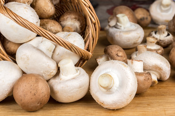 white and brown mushrooms in a basket