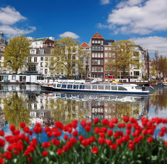 Amsterdam with boat on main canal against red tulips, Holland