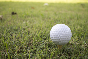 golf ball on green grass