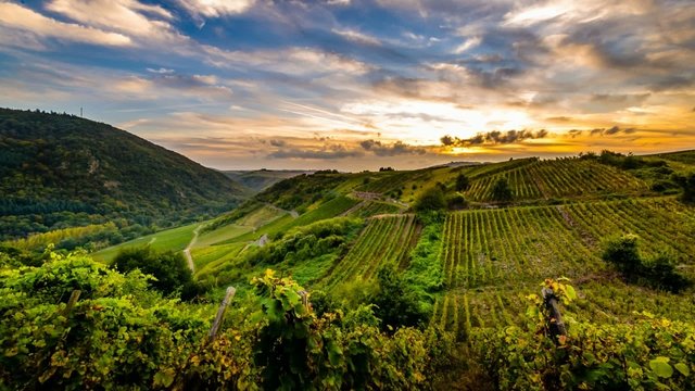 TL - Sonnenuntergang am Weinberg