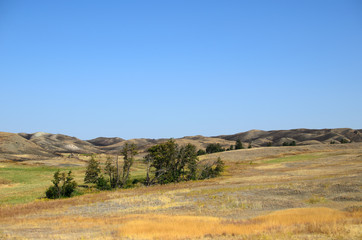 Autumn in Prairie - Beauty of Nature