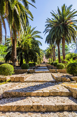 Fototapeta premium Alfabia gardens in Mallorca