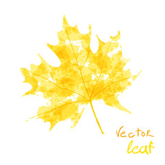 Watercolor orange leaf  autumn. Vector illustration