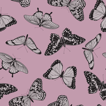 Butterfly seamless vintage pattern
