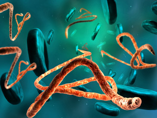 3d render, illustration of Ebola virus, Microscopic view.