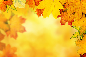 Obraz na płótnie Canvas Autumn leaves frame