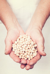 Elderly hands holding organic fresh chick peas with vintage styl