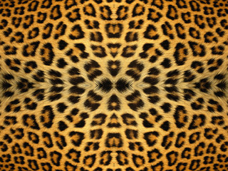 Leopard Fur Pattern