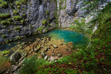 Karstic spring in Romania