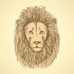 Sketch cute lion in vintage style