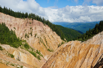 Mountains and pine forests
