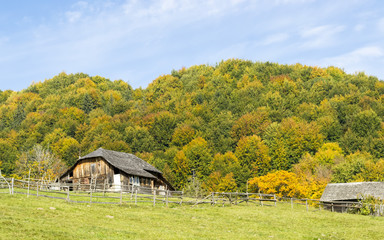 Obraz premium Shepherd house