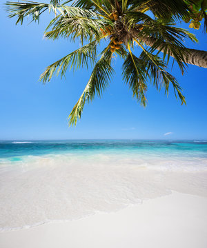 Tropical seascape © CGiHeart