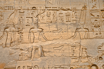 Fototapeta na wymiar hieroglyphs on wall
