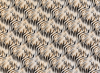 texture of fabric stripes zebra