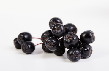 Black chokeberry