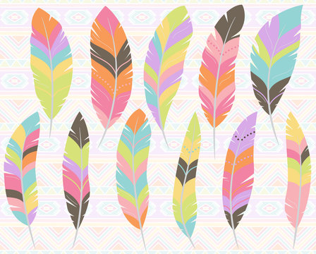 Vector Collection of Stylized Feathers