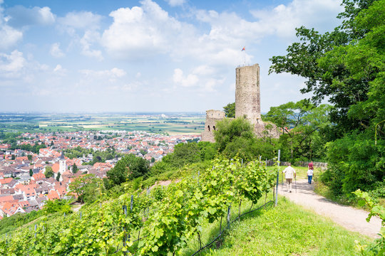 Strahlenburg in Schriesheim