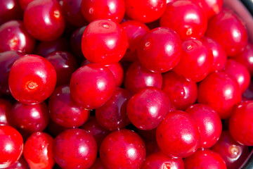 Appetizing red cherries