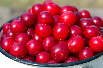 Appetizing red cherries on a green background