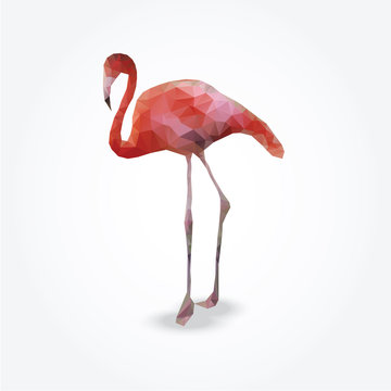 Modern polygon illustration of flamingo, vector