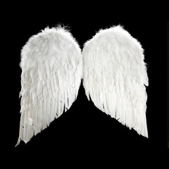 wings