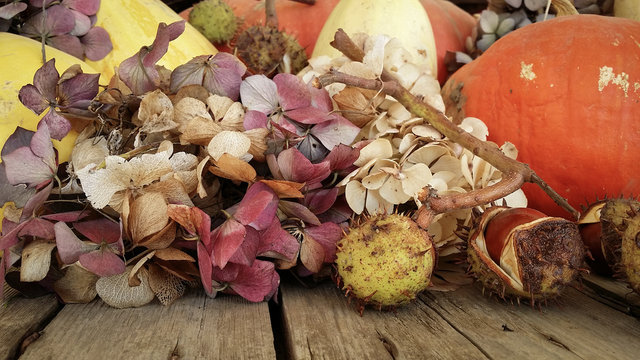 L'automne