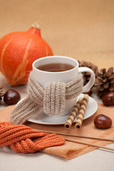 Autumn Concept. Cup Of Hot Tea With Sweets. Yarn Knitting. Pumpk