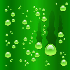 GreenBeerBackground