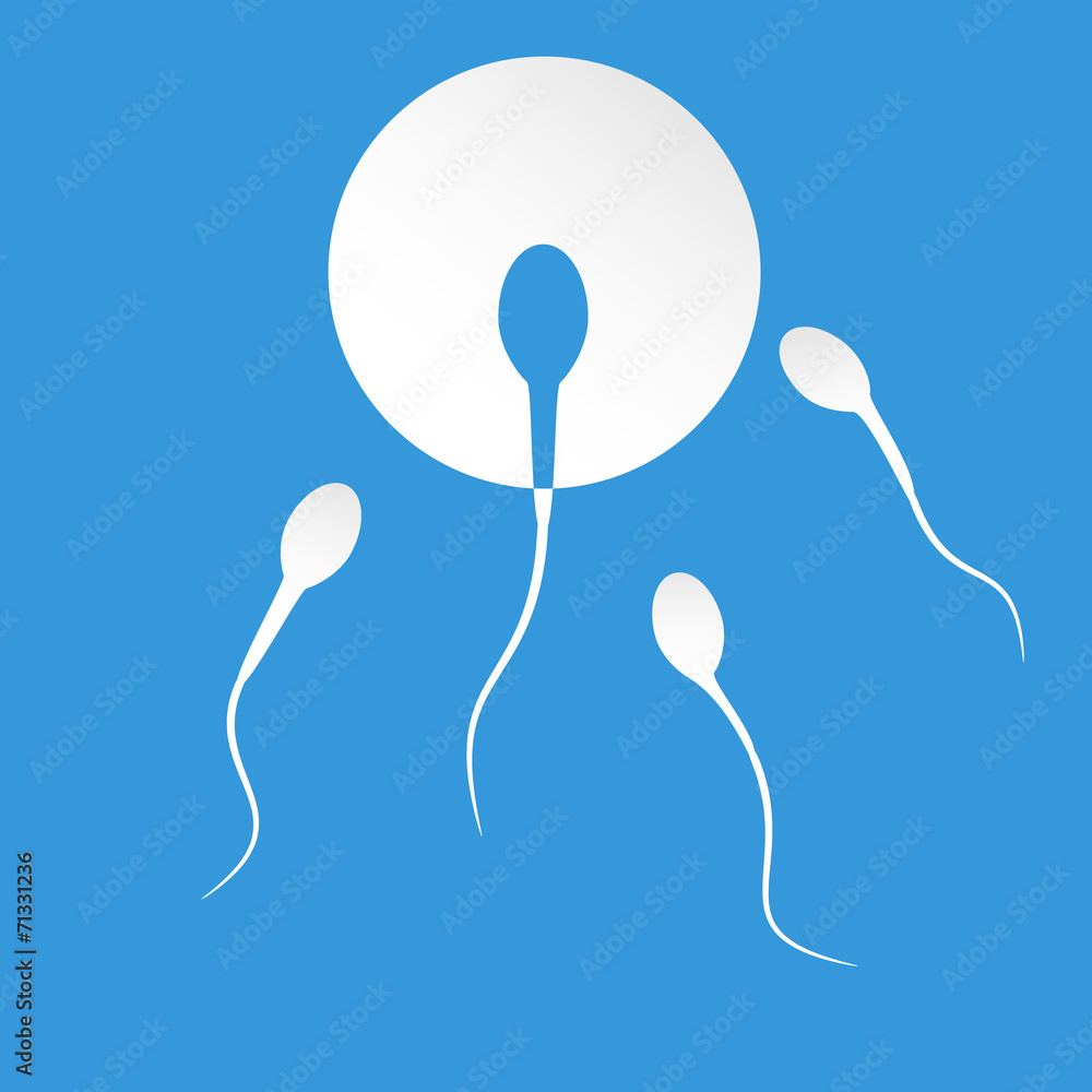 Wall mural Human sperm cell and male fertility