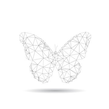 Butterfly isolated on a white backgrounds