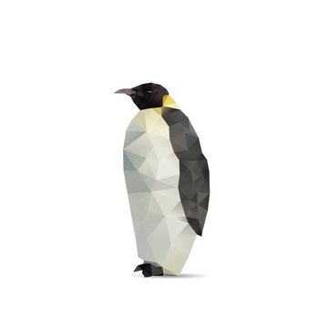 Penguin abstract isolated on a white backgrounds