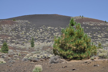 Montana de la Botija, Teneriffa