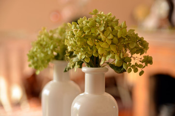 Dried flowers in a vase used for home decoration