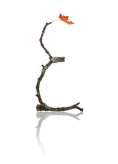 Autumn Letter E