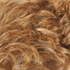 Hair fragment as a background composition