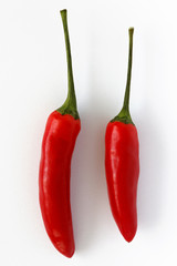 Chilis, Chilischoten, freigestellt