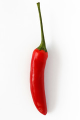 Chili, Chilischote, freigestellt