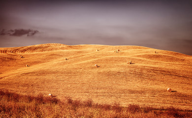 Beautiful autumn landscape