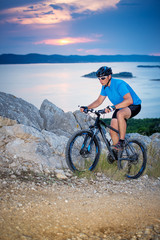 Fototapeta premium mountain bike