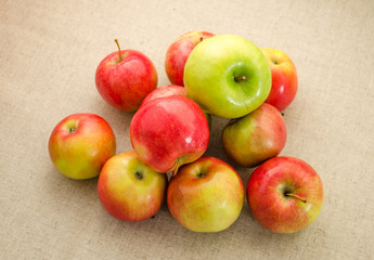 Green and red apples on flax
