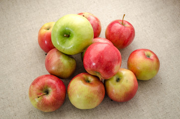 Multicolor apples. Macro