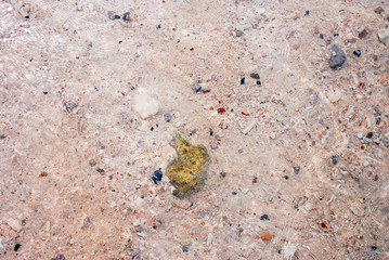 Look at the bottom through the clear water. View 8