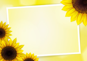 Sunflowers vector background for image and text - 71336035