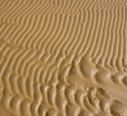 Fototapeta na wymiar Wet sand