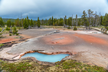 Yellowstone National Park
