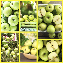 Collage of apples