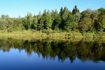 Fototapeta na wymiar Trees symmetric reflection in a river
